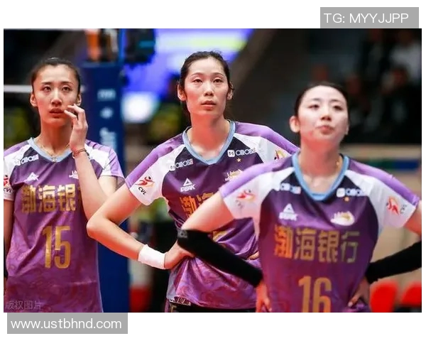 杭州排球队在冠军赛中的默契配合与战术执行分析