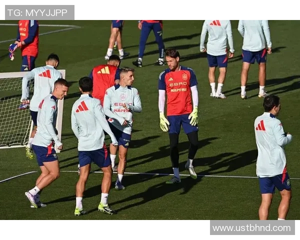 西班牙国家队世界杯预选赛团队协作分析与表现评估