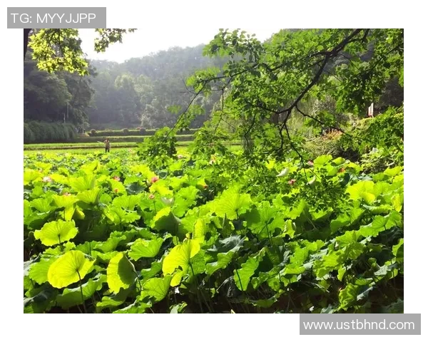 深度对话:周娜如何在足球世界中追寻梦想与自我成长 深度对话:周娜如何在足球世界中追寻梦想与自我成长