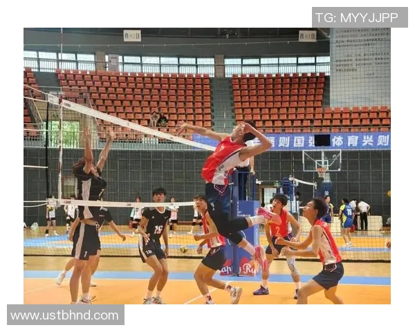 重庆排球队实力强劲荣登全国排球力量排行榜第五名